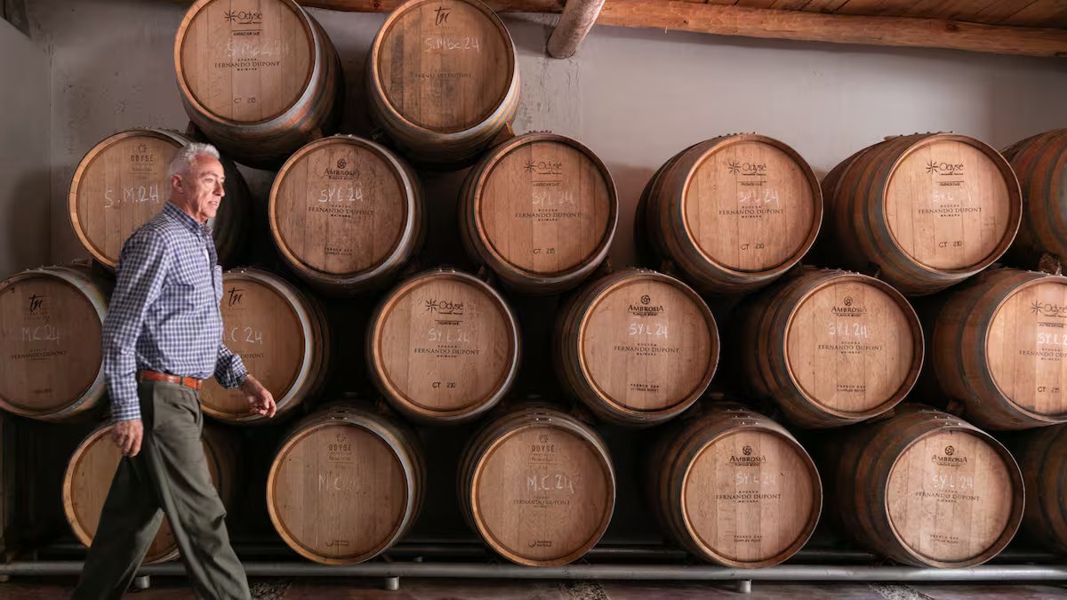 Elaboración en Bodega Fernando Dupont